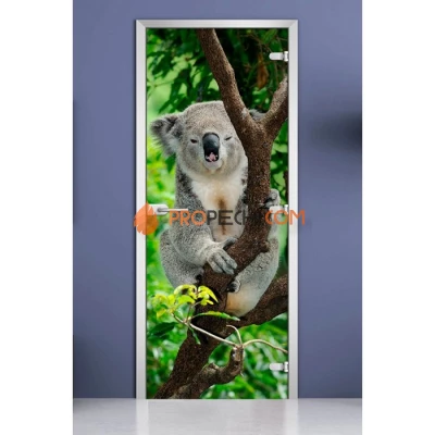 Стеклянная межкомнатная дверь DoorWood с фотопечатью Animals-10, 2000х700 мм