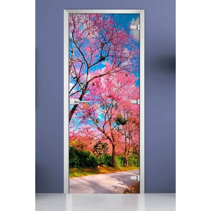 Стеклянная межкомнатная дверь DoorWood с фотопечатью Nature-12, 2000х600 мм