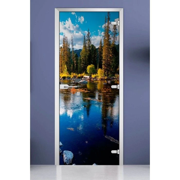 Стеклянная межкомнатная дверь DoorWood с фотопечатью Forest-11, 2000х800 мм