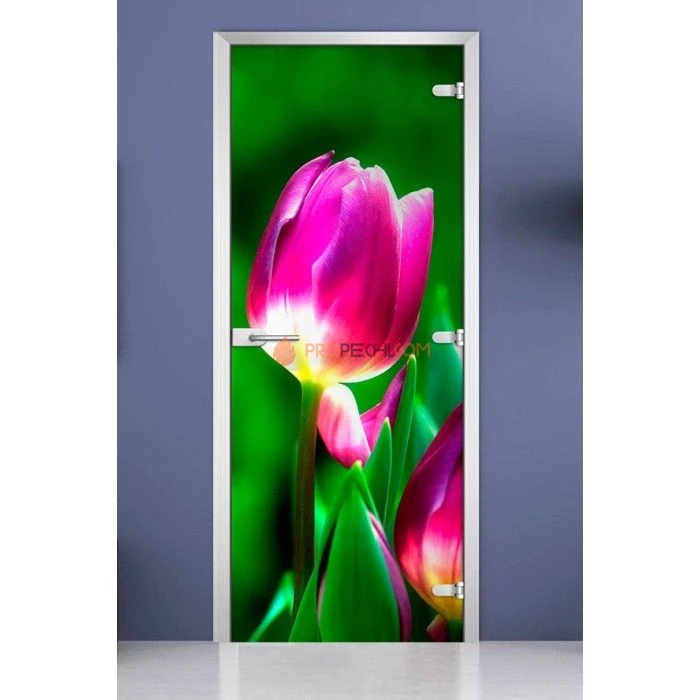 Стеклянная межкомнатная дверь DoorWood с фотопечатью Flowers-15, 2000х600 мм