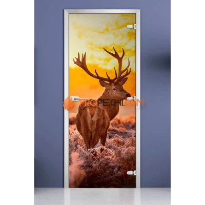 Стеклянная межкомнатная дверь DoorWood с фотопечатью Animals-16, 2000х700 мм
