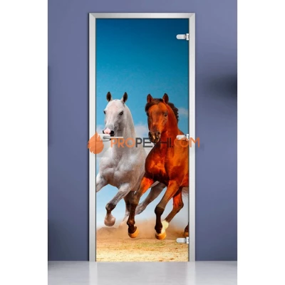 Стеклянная межкомнатная дверь DoorWood с фотопечатью Animals-05, 2000х800 мм