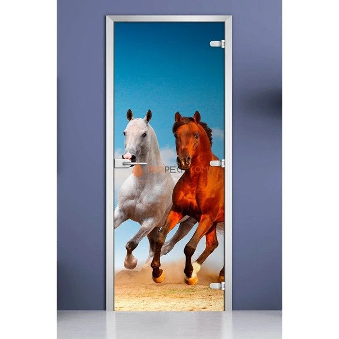 Стеклянная межкомнатная дверь DoorWood с фотопечатью Animals-05, 2000х800 мм