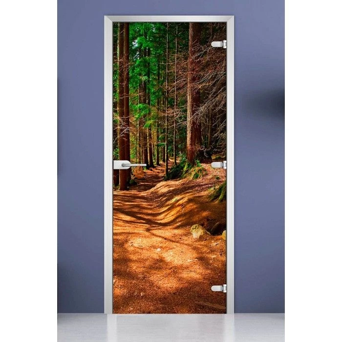 Стеклянная межкомнатная дверь DoorWood с фотопечатью Forest-17, 2000х600 мм