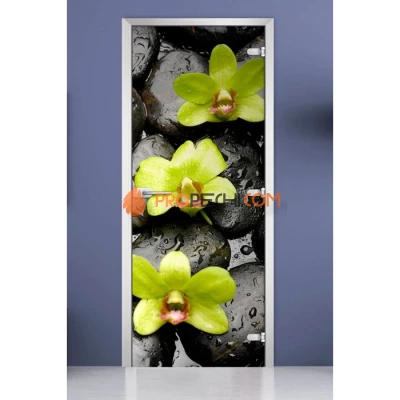 Стеклянная межкомнатная дверь DoorWood с фотопечатью Flowers-11, 2000х700 мм