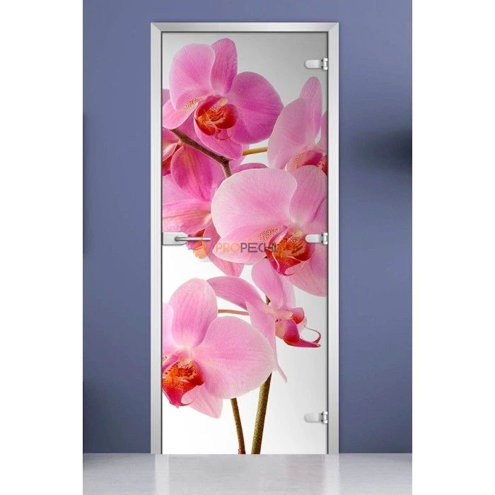 Стеклянная межкомнатная дверь DoorWood с фотопечатью Flowers-17, 2000х700 мм