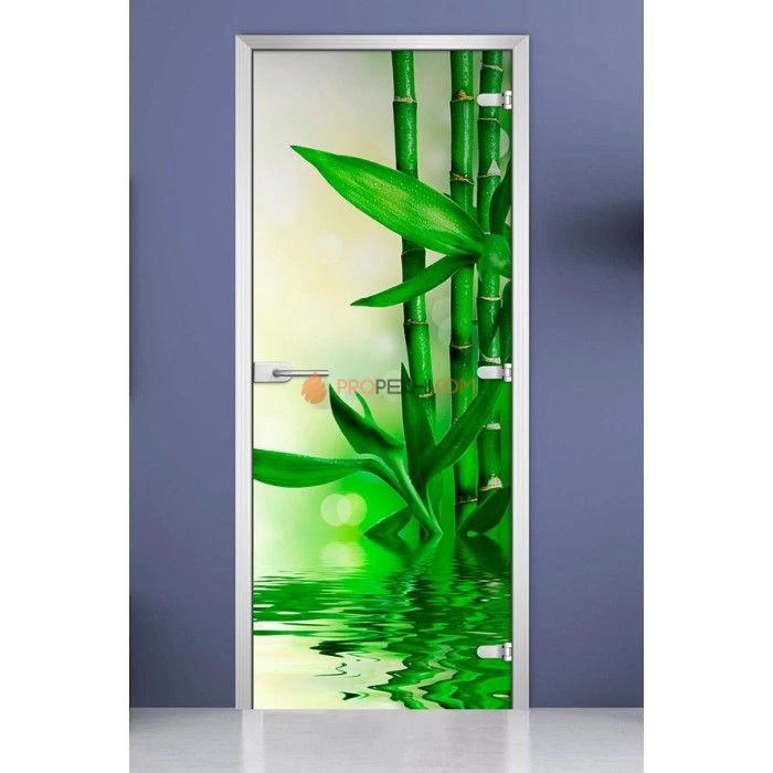 Стеклянная межкомнатная дверь DoorWood с фотопечатью Spa-03, 2000х800 мм