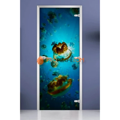 Стеклянная межкомнатная дверь DoorWood с фотопечатью Underwater World-07, 2000х700 мм