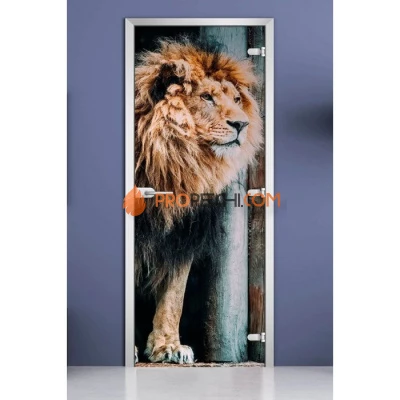 Стеклянная межкомнатная дверь DoorWood с фотопечатью Animals-01, 2000х600 мм
