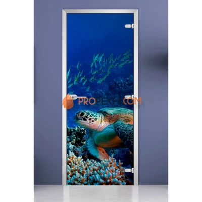 Стеклянная межкомнатная дверь DoorWood с фотопечатью Underwater World-03, 2000х800 мм