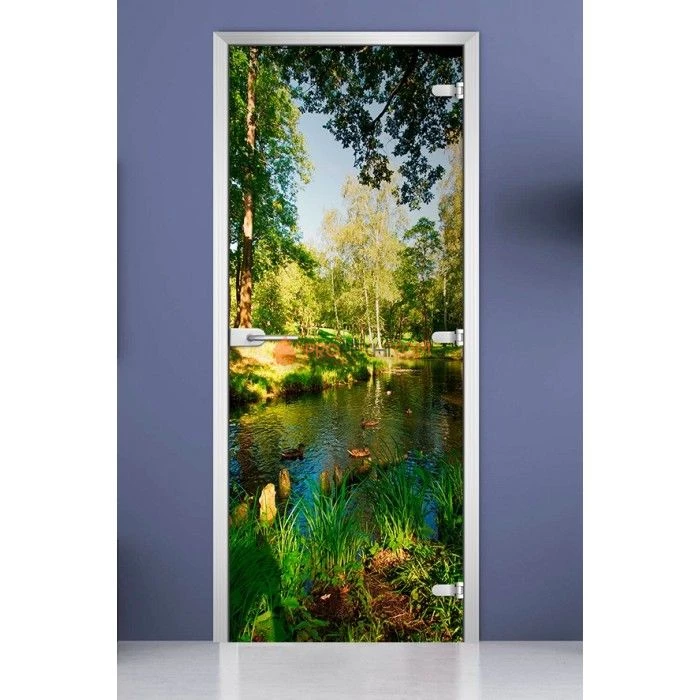 Стеклянная межкомнатная дверь DoorWood с фотопечатью Forest-12, 2000х600 мм