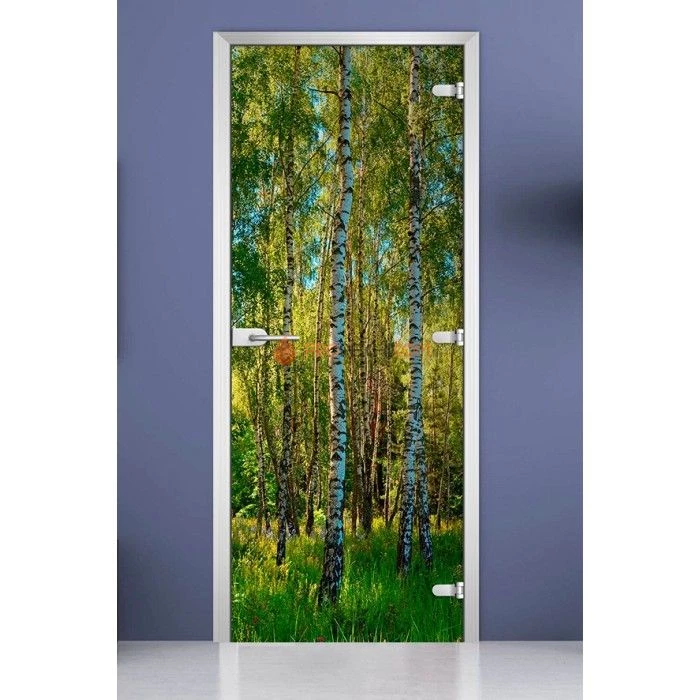 Стеклянная межкомнатная дверь DoorWood с фотопечатью Forest-20, 2000х700 мм