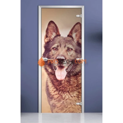 Стеклянная межкомнатная дверь DoorWood с фотопечатью Animals-17, 2000х600 мм