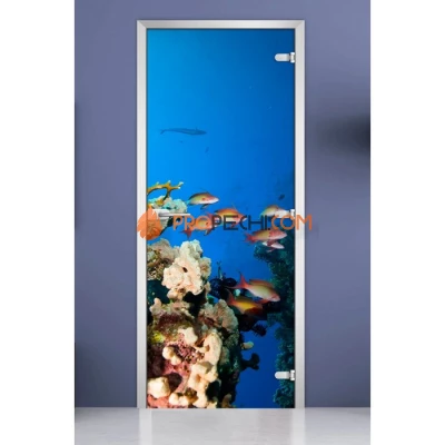 Стеклянная межкомнатная дверь DoorWood с фотопечатью Underwater World-10, 2000х800 мм