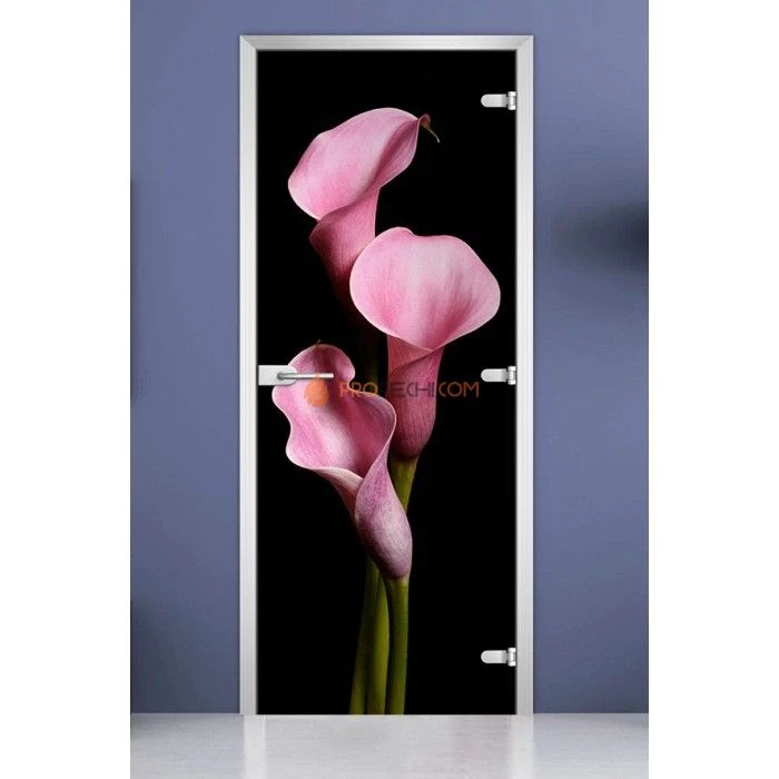 Стеклянная межкомнатная дверь DoorWood с фотопечатью Flowers-02, 2000х700 мм