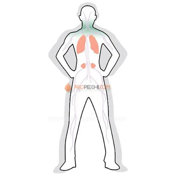 Жадеит галтованный (20 кг.)