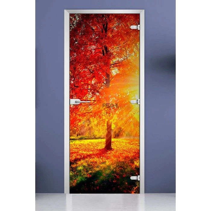 Стеклянная межкомнатная дверь DoorWood с фотопечатью Forest-08, 2000х700 мм