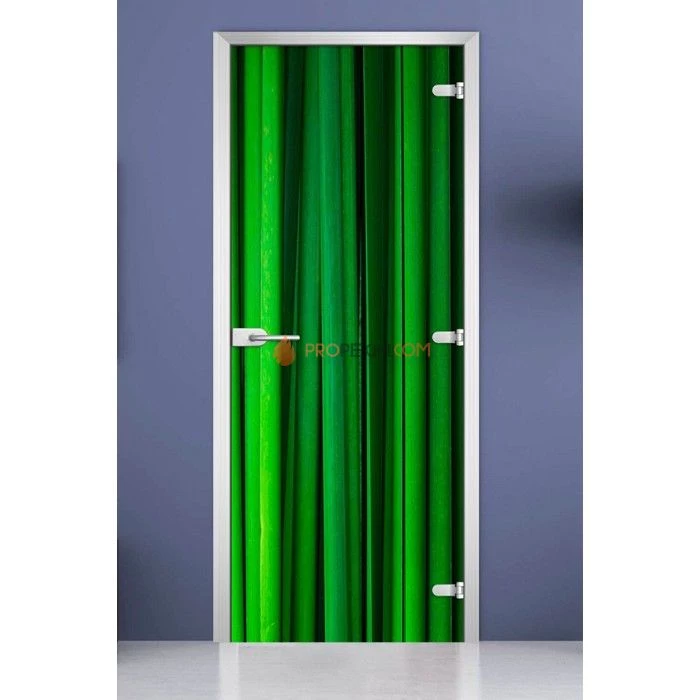 Стеклянная межкомнатная дверь DoorWood с фотопечатью Spa-05, 2000х600 мм