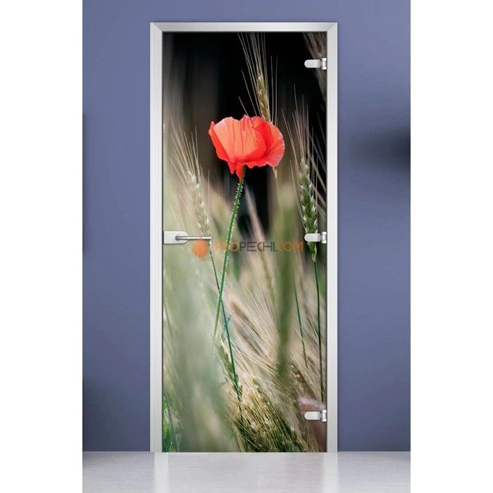 Стеклянная межкомнатная дверь DoorWood с фотопечатью Flowers-18, 2000х700 мм