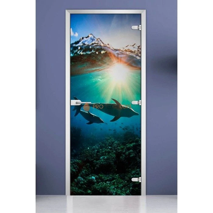 Стеклянная межкомнатная дверь DoorWood с фотопечатью Underwater World-20, 2000х800 мм