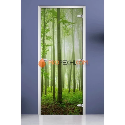 Стеклянная межкомнатная дверь DoorWood с фотопечатью Forest-15, 2000х800 мм