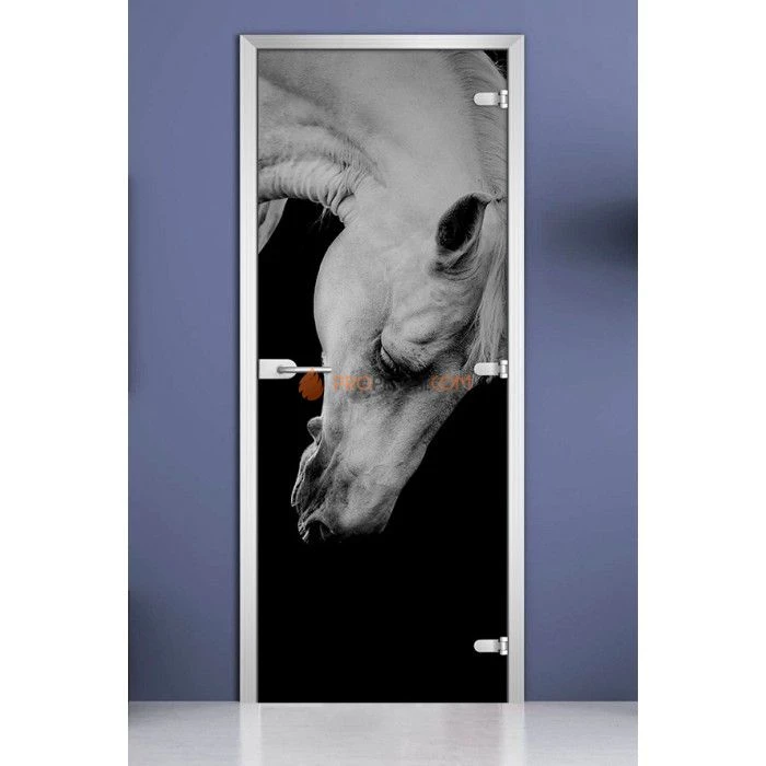 Стеклянная межкомнатная дверь DoorWood с фотопечатью Animals-11, 2000х800 мм