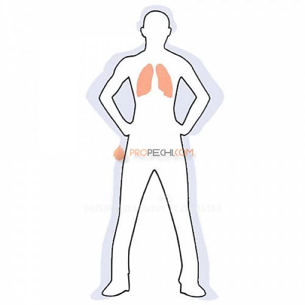 Камни для бани  Кварцит малиновый