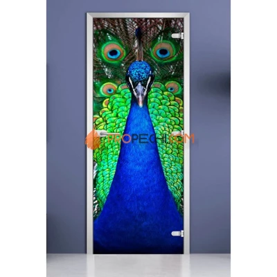 Стеклянная межкомнатная дверь DoorWood с фотопечатью Animals-02, 2000х800 мм