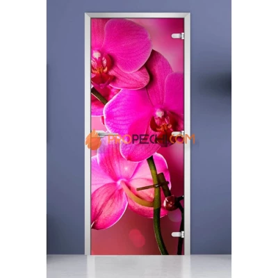 Стеклянная межкомнатная дверь DoorWood с фотопечатью Flowers-19, 2000х800 мм